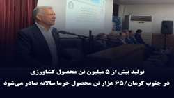 تولید بیش از ۵ میلیون تن محصول کشاورزی در جنوب کرمان/۶۰ درصد محصولات صادر شد